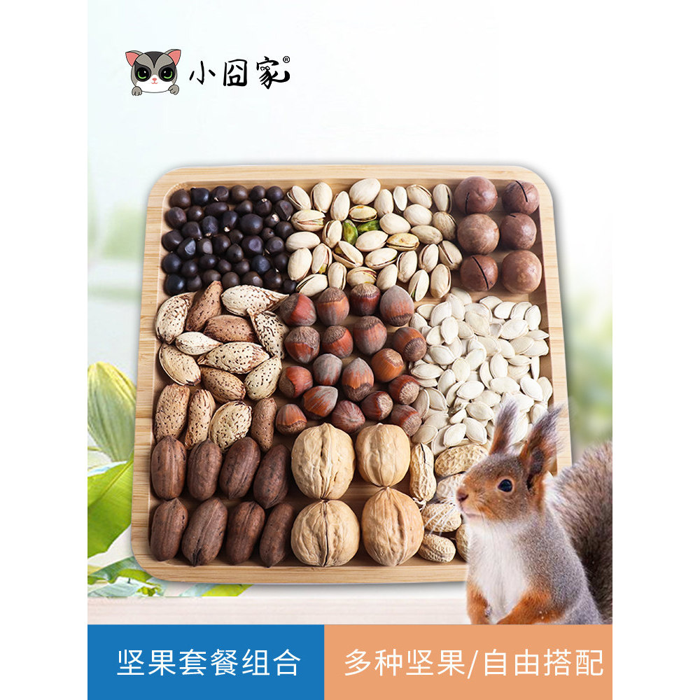อาหารกระรอก Staple Food Snacks Huangshan Flying Squirrel Food Staple Food Feed Pine Nuts ถั่วดิบ