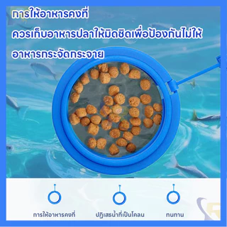 ⚡สต็อกไทย⚡วงแหวนให้อาหารปลาลอยน้ำ ป้องกันอาหารกระจาย ปรับระดับน้ำอัตโนมัติ พร้อมที่ดูดติดตู้ กันอาหารไหลเข้าตัวกรอง