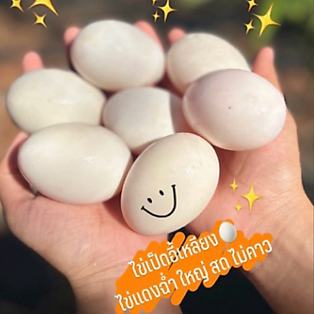 ไข่เป็ดอี้เหลียงอารมณ์ดี✨🪿ไข่แดงใหญ่ ดึ๋ง เก็บใหม่ทุกวัน🔥🥚แตกเคลมฟรี💯