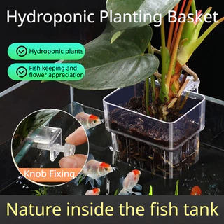 TOPOP CLUB Aquarium Plant Pots Water Plant โปร่งแสงถังปลาพืชถ้วย Hangable Aquatic Plant Holder
