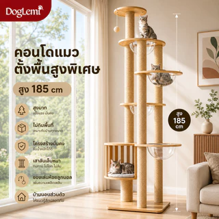 DogLemi】คอนโดแมว สูง185ซม. Cat Condo บ้านแมวไม้พรีเมียม เสาลับเล็บแมว หลุมนอนอะคริลิค 4 จุด คอนโดสัตว์เลี้ยง แมวตัวใหญ่ใ