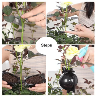รุ่นใหมพร้อมส่ง หนากว่าเดิม ตุ้มตอนกิ่ง(เกรดA) ตุ้มตอนกิ่งพลาสติก ลูกบอลตอนกิ่ง ขยายพันธุ์พืช ตอนกิ่ง ตอนต้นไม้