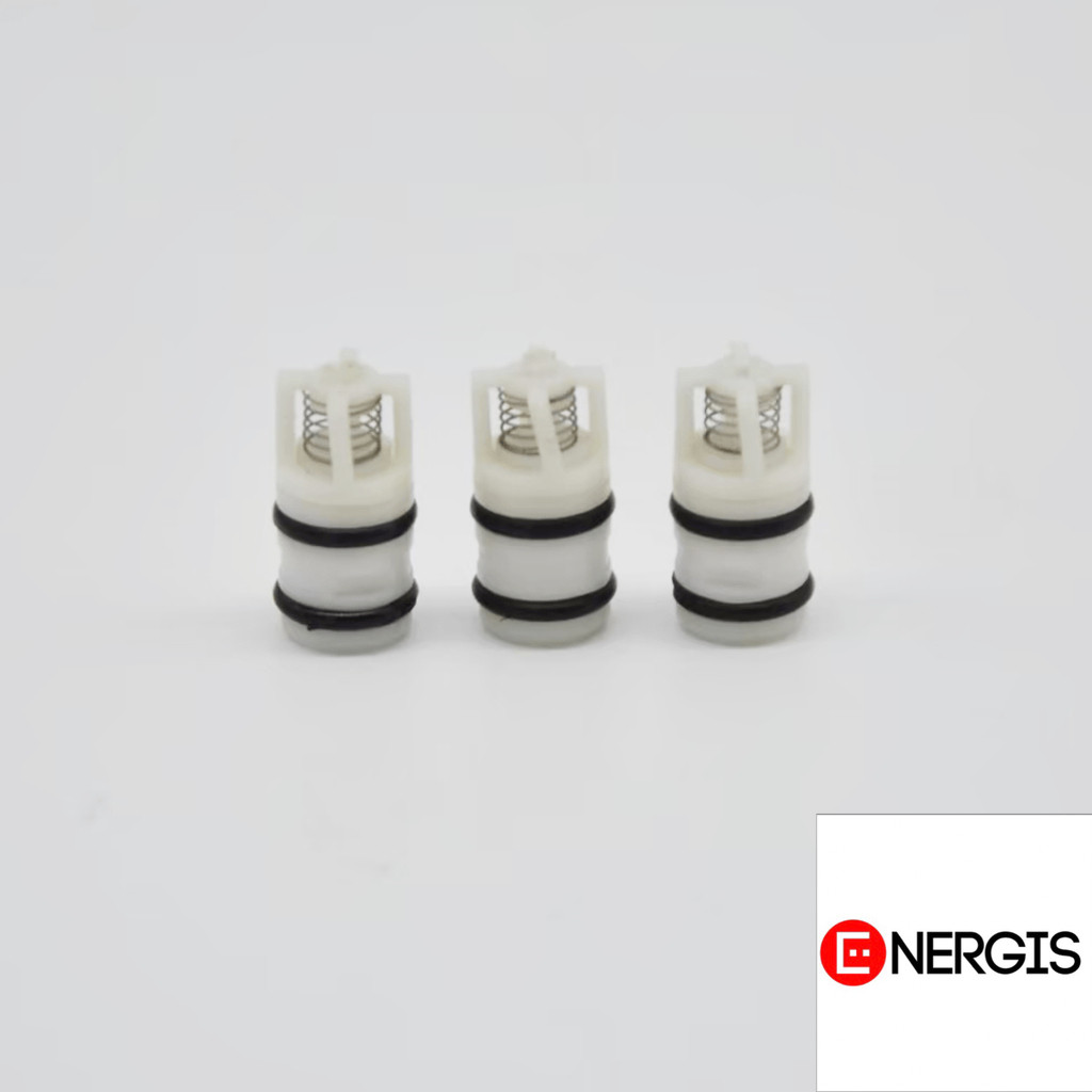 Flow Energy - NEW026160 อะไหล่หัวปั๊มใหม่ ชุด Inlet&Outlet valve Set Big M6 / M9