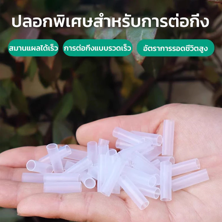 ปลอกซิลิโคนต่อกิ่ง อุปกรณ์ป้องกันจุดต่อกิ่ง สำหรับไม้ผลและไม้ดอก thumbnail 8