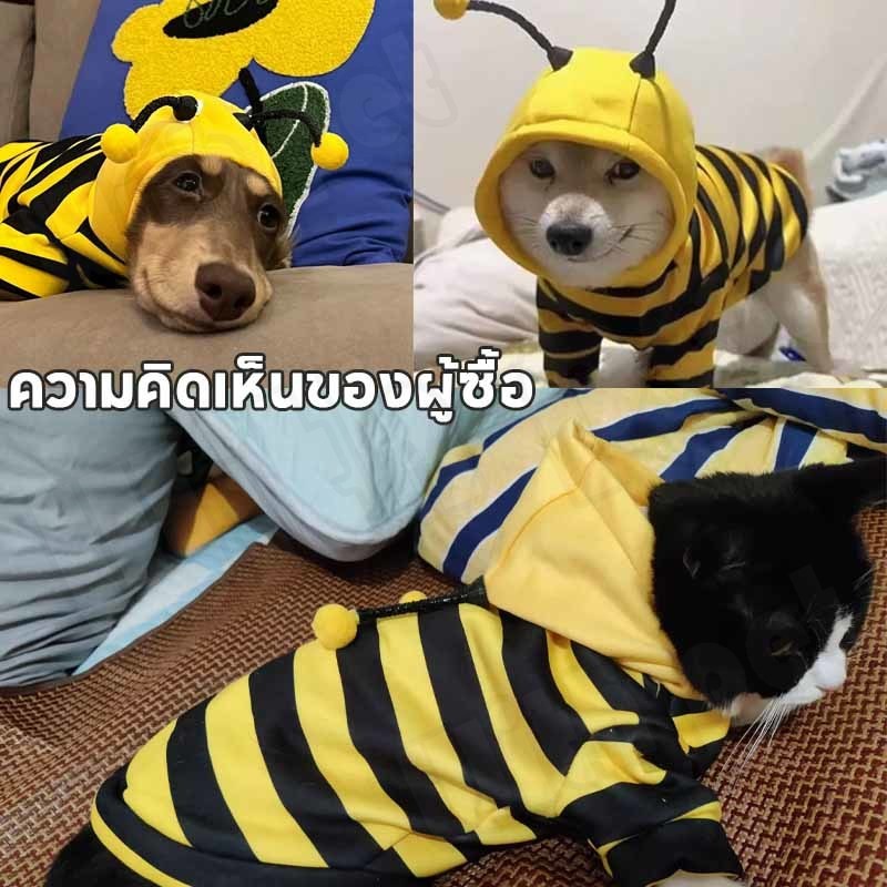 รูปภาพ 4