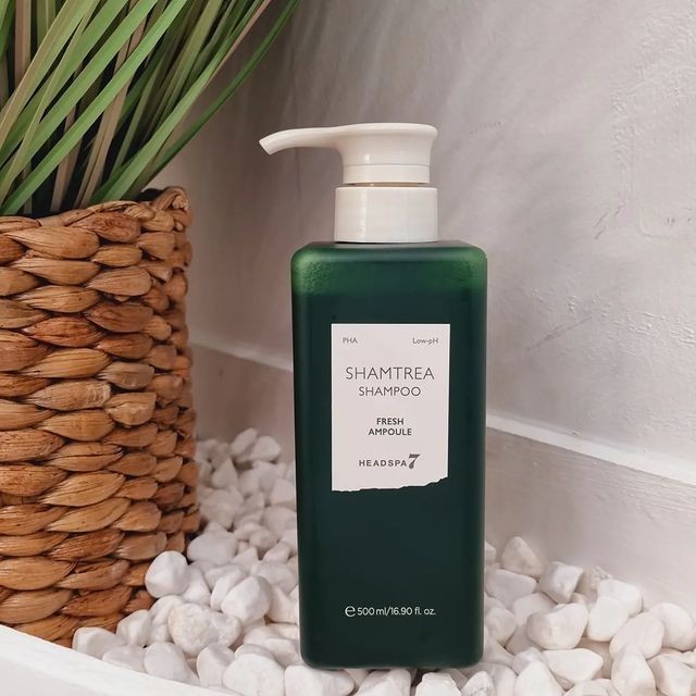 ✅พร้อมส่ง ถูกที่สุด ของแท้ (เขียว) HEADSPA7 SHAMTREA SHAMPOO FRESH AMPOULE 500 ml - รูปที่ 3