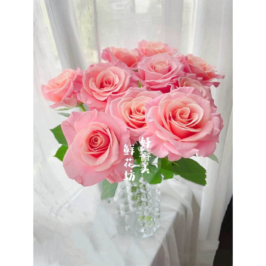 Shanghai Direct Delivery Express Rare Influencer Roses Zhu Zhu Zhu Zhu Pig Miss Jiang Zhehu เซี่ยงไฮ