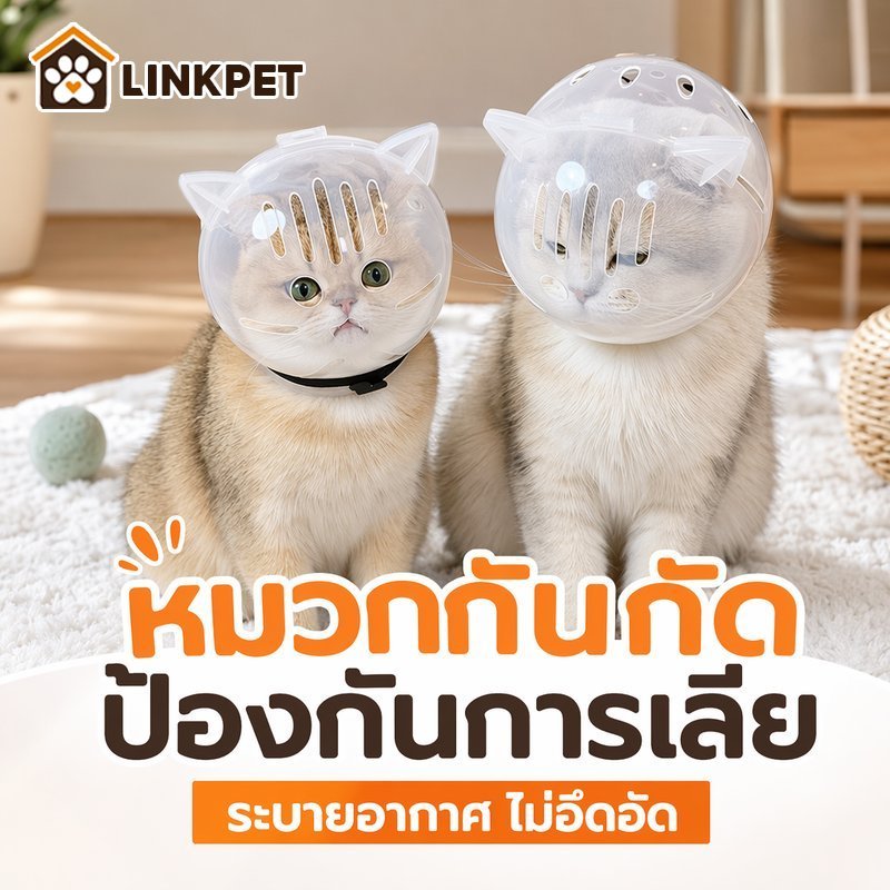 ครอบหัวแมวกันกัด ปลอกคอกันเลีย หลังผ่าตัด หมวกใสระบายอากาศ ปรับได้ สำหรับแมว ลูกแมว สุนัขเล็ก