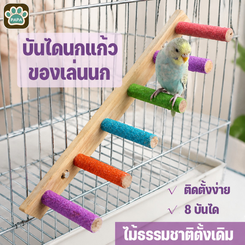 บันไดนกแก้ว ของเล่นนก คอนลับเล็บ  8 บันได ของเล่นบันไดกรงนก ติดตั้งง่าย ไม้ธรรมชาติดั้งเดิม