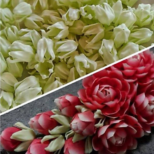 [ถูกที่สุด]กลีบรัก กลีบเปลือกรัก เปลือกรักเสมือนจริง สินค้าคุณภาพ เหมือนจริงที่สุดในสามโลก