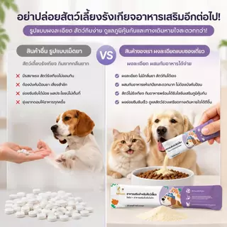 Ketzuzu 12/24 แพ็ค วิตามินแมว อาหารเสริมแมว ไลซีนโปรไบโอติกผง ช่วยเสริมภูมิและกินง่าย 14g