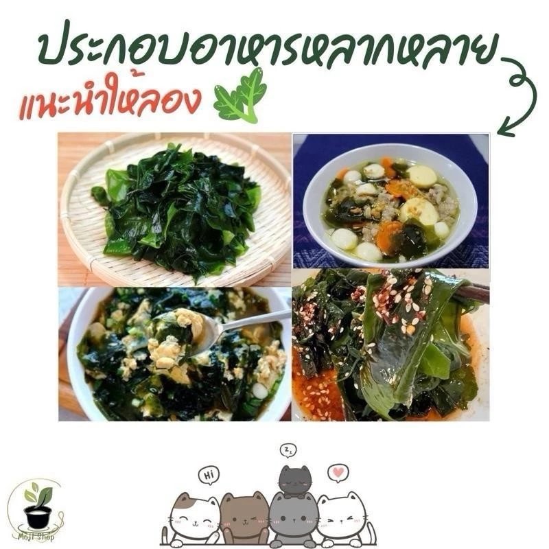 100 กรัม สาหร่ายวากาเมะอบแห้ง แผ่นใหญ่คุณภาพดี thumbnail 6