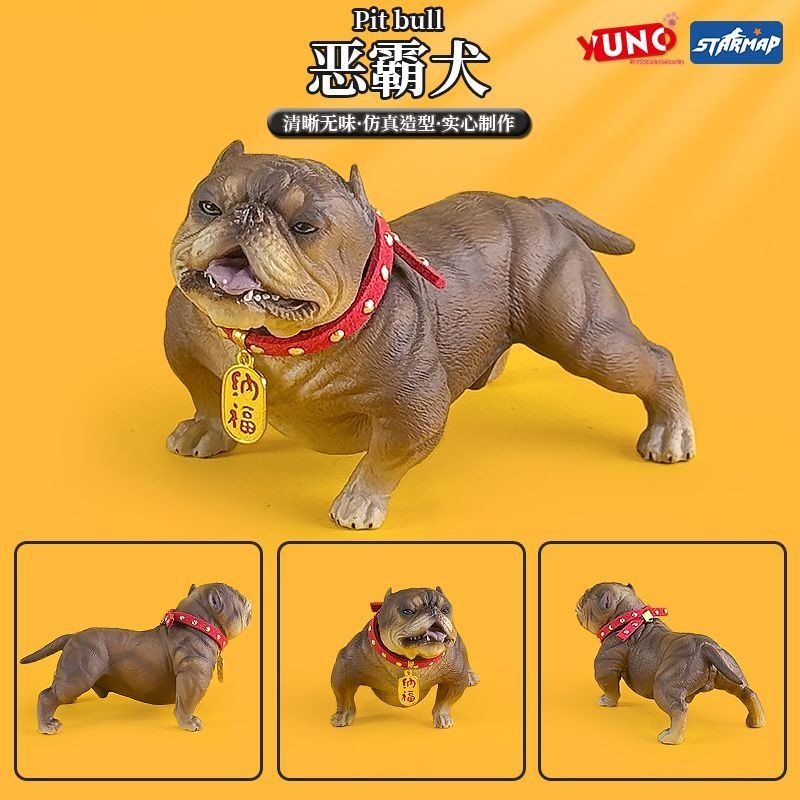 STARMAP Star ภาพ 1/6 Bulldog รุ่น American Bulldog Shar Pei รถตกแต่งของเล่น/ลูกปัด 259.5