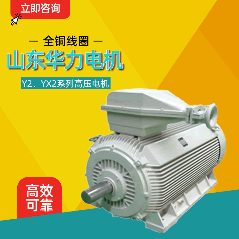 Shandong Huali Motor Y2, YX2 Series Compact High-Voltage สามPhase Abnormal Step Motor โรงงานอุปทานโด