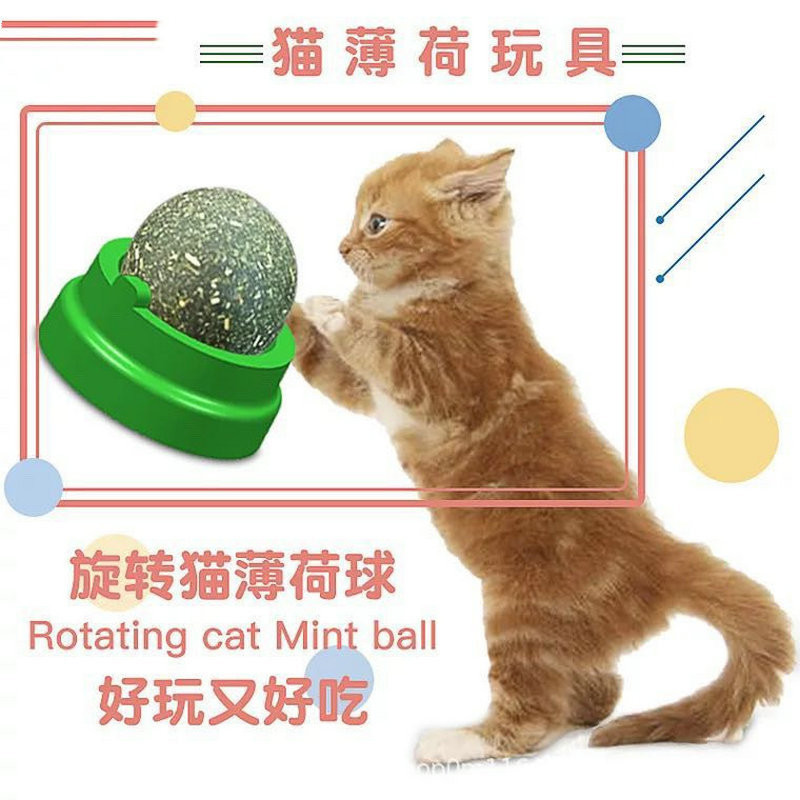 ขายส่ง Catnip Cat Licking Ball Molar ทําความสะอาดฟัน Chewing ช่วยย่อยอาหาร Nutrition Cat Candy Catni