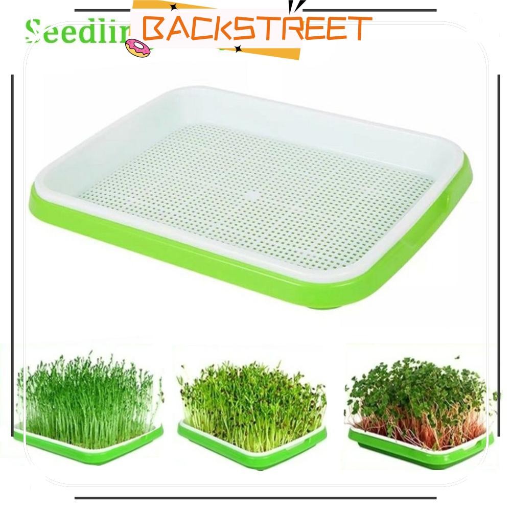 BACKSTREET Grow Nursery Pots Outdoor Indoor Hydroponic Tray Nursery Paper Sprout Pot