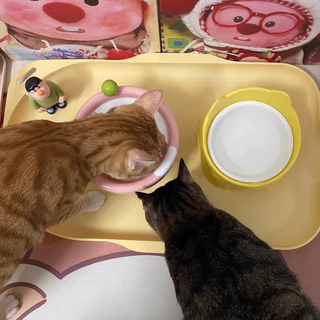 🔔จานอาหารแมวกินไม่หก ทำความสะอาดง่าย😻 | กันน้ำ+ป้องกันอาหารหก+เก็บรักษาได้นาน 😊