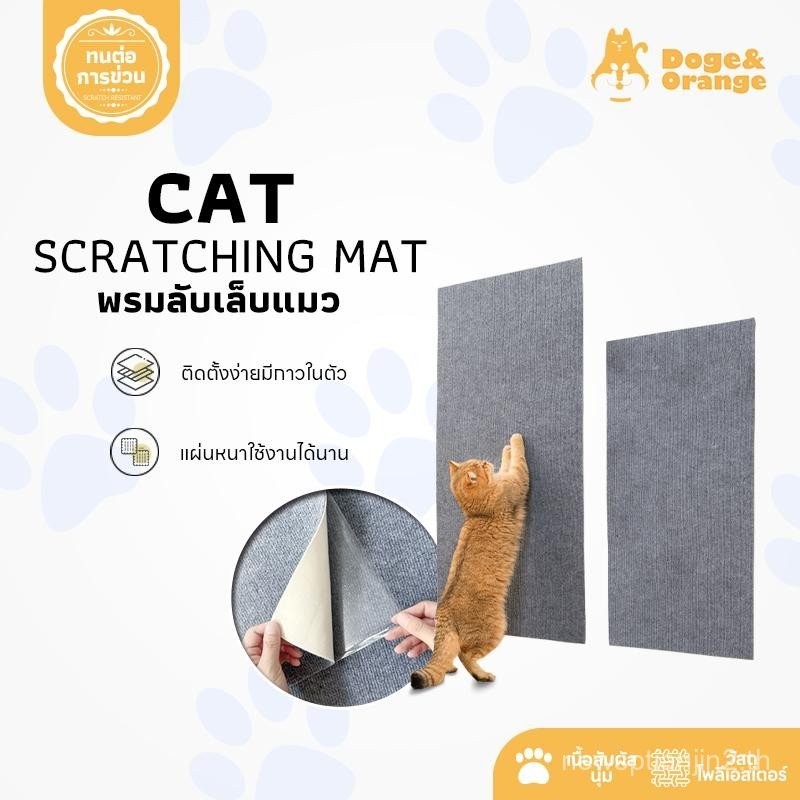 Doge&Orange พร้อมส่ง พรมลับเล็บแมว ที่ฝนเล็บ แบบติดผนัง พร้อมกาว กันรอยข่วนได้ดี มีทั้งหมด 5สี COD P