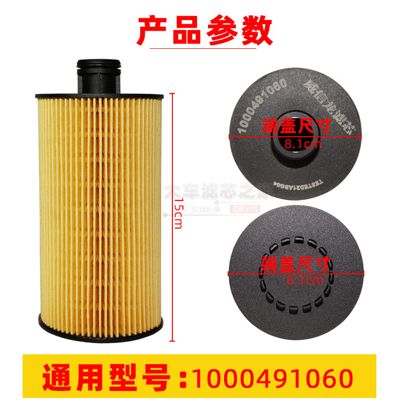 1000491060ปรับให้เข้ากับ FAC Liberation J6F Tiger VN Ruiwo ES3 Chai WP4 เครื่องกรอง PA66 + GF30 แกนก