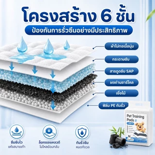PETWELL แผ่นรองฉี่สุนัข แผ่นคาร์บอน ซึมซับไดีดี ต่อต้านแบคทีเรีย ช่วยฝึกขับถ่าย ระงับกลิ่น เหมาะสำหรับสุนัขทุกสายพันธุ์