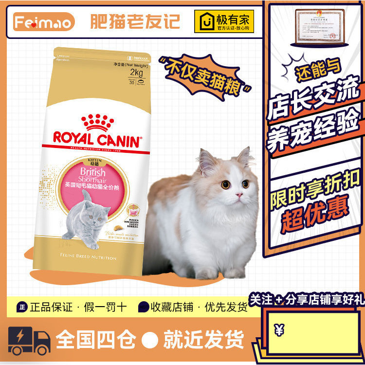 Royal Cat Food BSK38 British Short Cat British Short-Haired Cat Dedicated 2kg Balanced Nutrition Blue Cat Golden Gradient