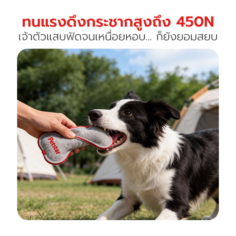 Pet Star لعبة قماش ثلاثية الطبقات للرمي والسحب للكلاب — صورة 5