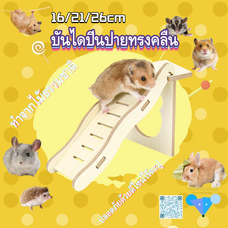 [HAMSTER TRAVEL] แฮมสเตอร์บันไดไม้หลีกเลี่ยงอุโมงค์ปีนไม้ของเล่นเบิร์ชสะพานโค้งหลุมต้นไม้ชั้นหมวก TZ