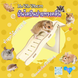 [HAMSTER TRAVEL] แฮมสเตอร์บันไดไม้หลีกเลี่ยงอุโมงค์ปีนไม้ของเล่นเบิร์ชสะพานโค้งหลุมต้นไม้ชั้นหมวก TZ
