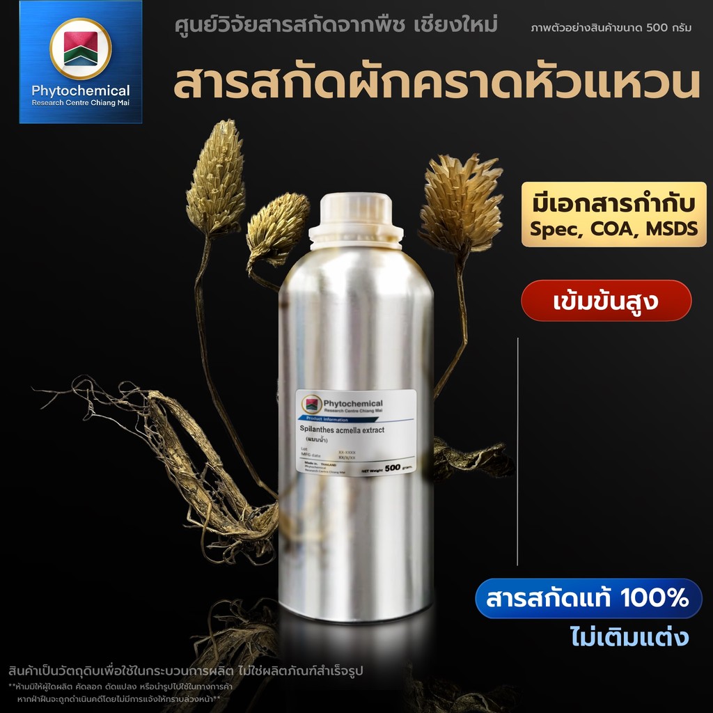 สารสกัดผักคราดหัวแหวน(แบบน้ำ) Toothache plant extract | สารสกัดจากพืช สารสกัดสมุนไพร 100% | เข้มข้นสูง 25-100 g.
