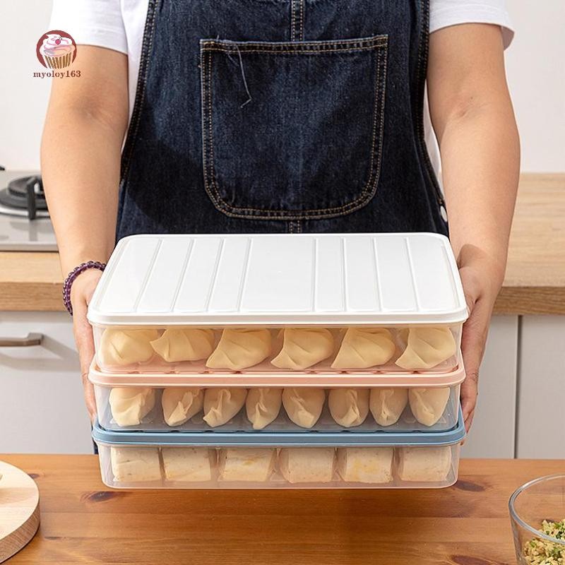Myoloy ครัวเรือนอาหารไข่ Crisper กล่องตู้เย็น Dumpling กล่อง Wonton Fresh-Keeping Organizers Quick แช่แข็งตู้เย็นขนาดใหญ่/ขนาดเล็กกล่องเก็บ TH