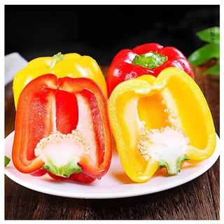 [ซื้อ 5 แถม 5 ฟรี]100 เมล็ด เมล็ดพริกหวาน คละสี (รสชาติหวาน ข้างในกลวงโป่ง )เมล็ดผัก เม็ดผัก ผักสวนครัว พืชผัก