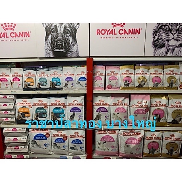 🐱royal canin รอยัลคานิน แบบแบ่งบรรจุ ใหม่ๆ หอมๆมาแล้วค่ะ ❣️แบบถุงใส ❣️แบ่งขาย ขนาดถุง 500กรัม🐱🐱