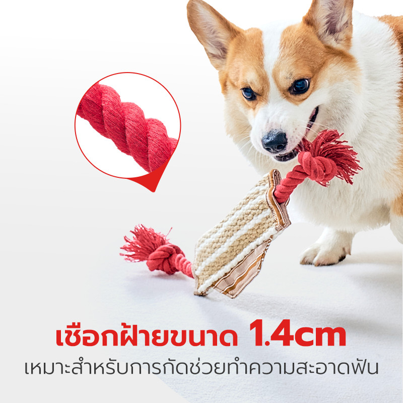 Petstar حبل عض للكلاب لتنظيف الأسنان — صورة 4