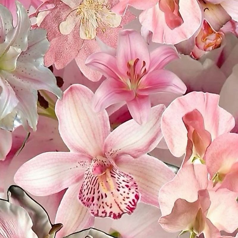 🌺 เล็บปลอมสไตล์ดอกกล้วยไม้,ลีลาวดี,ชบา Floral nails 🌺