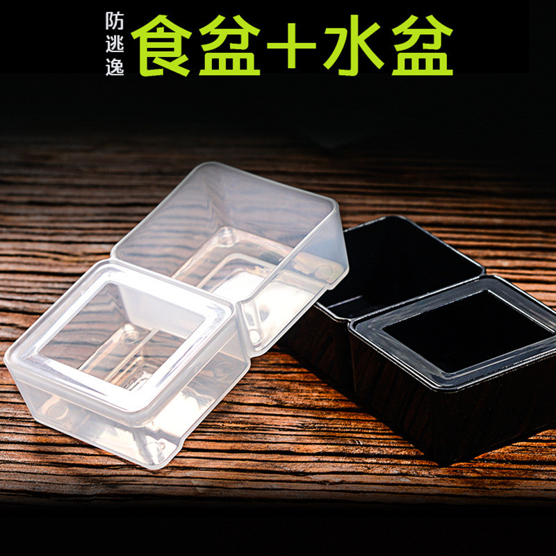 โครงสร้างสัตว์เลื้อยคลานอุปกรณ์สัตว์เลื้อยคลาน Gecko Water Basin Climbing Box Scorpion Food Basin Sp