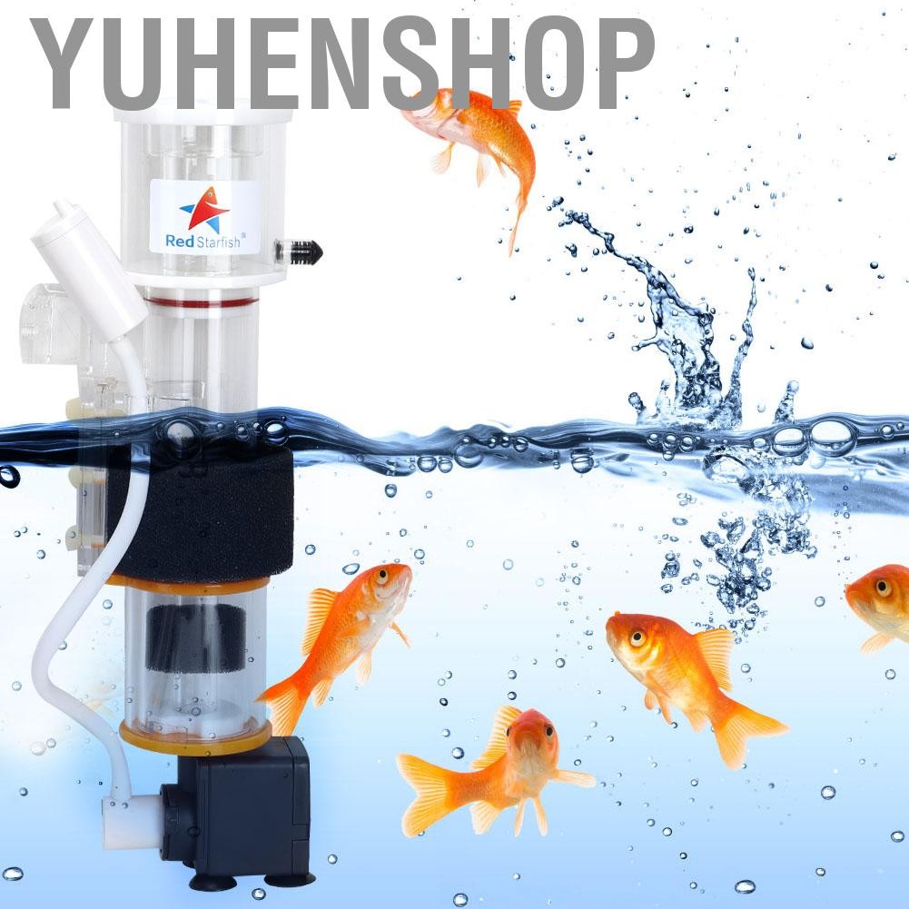 Yuhenshop Yuhenshop-th SQ50 Acrylic Mini Fish Protein Protein Protein Skimmer Aquarium Aquarium อุปก