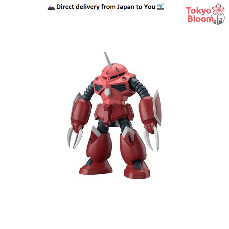 BANDAI SPIRITS HG Mobile Suit Gundam SEED FREEDOM Z'Gok (SEED FREEDOM Ver.) 1/144 Scale Color-Comple