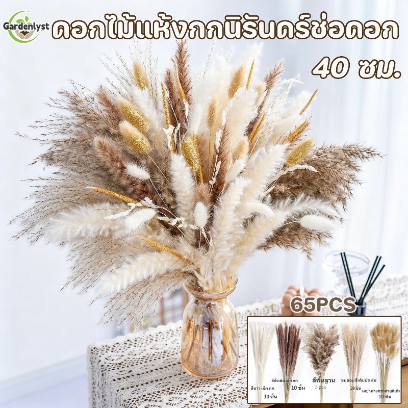พร้อมส่ง ดอกไม้แห้งกกนิรันดร์ช่อดอก 40 ซม. ช่อดอกไม้กก ตกแต่งบ้าน ลมนอร์ดิก ดอกไม้แห้งธรรมชาติ