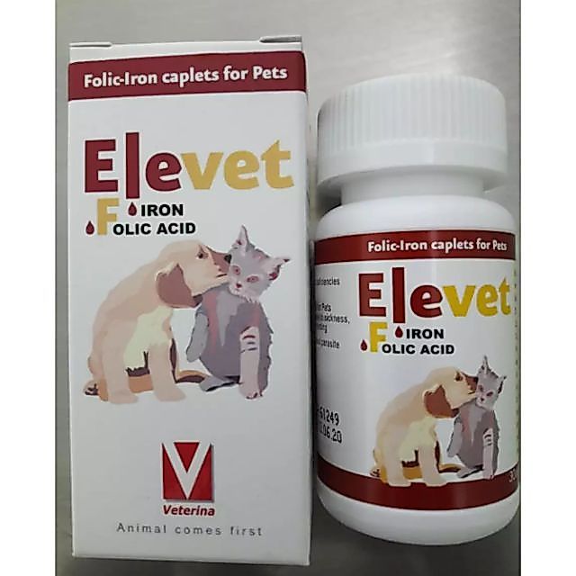 Elevet บำรุงร่างกายสัตว์เลี้ยง ท้อง โลหิตจาง(1box=30tab)