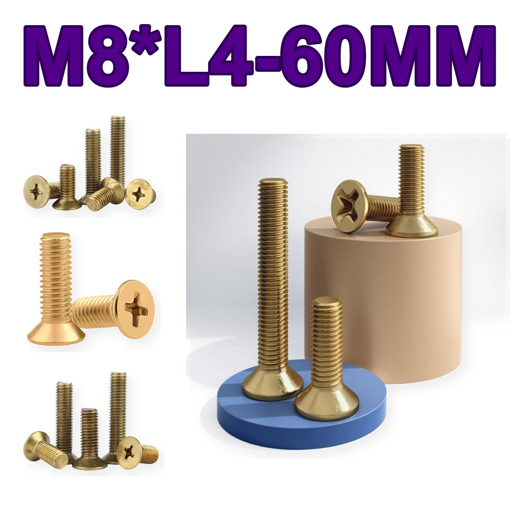 สกรูหัวจมแฉก M2-M8 เหล็กเกรด 8.8 แข็งแรง (2-100pcs) LXZ-TH1