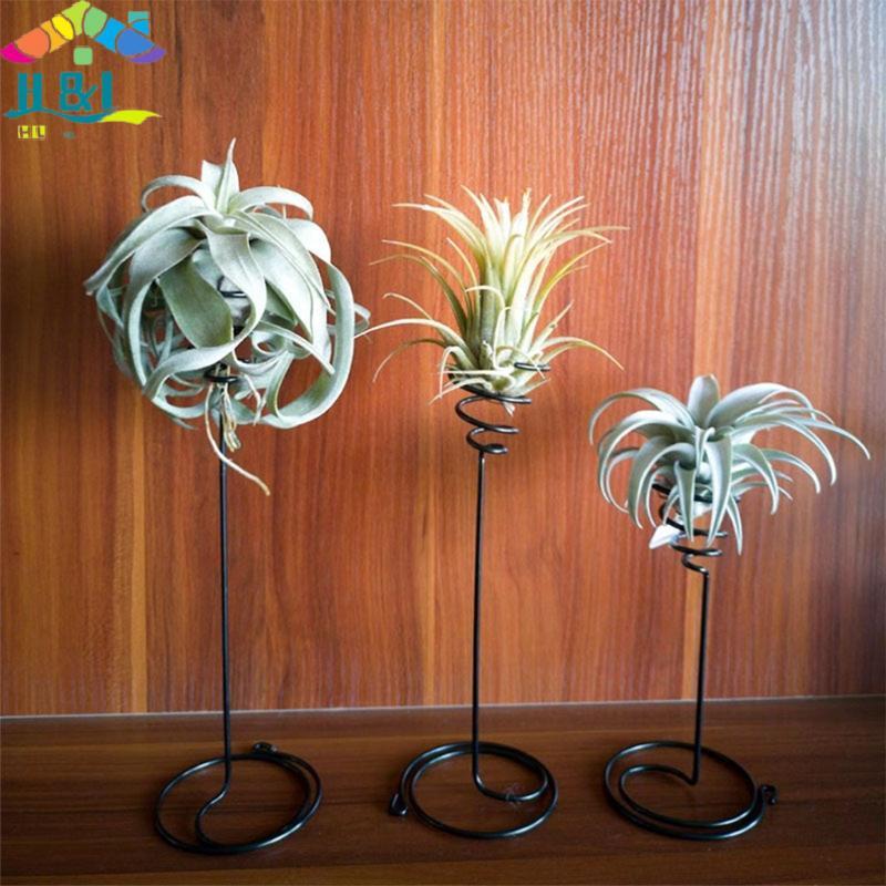 H&L Air Plant Holder 3Size Container Flower Stand Displaying Home Desktop Decoration {th}