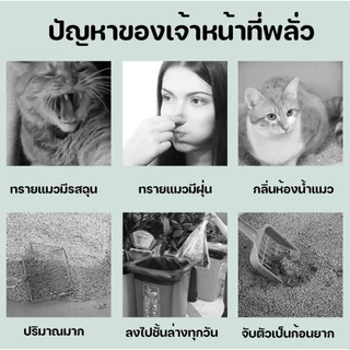 ทรายเต้าหู้ (6L x 4 ถุง) เต้าหู้ญี่ปุ่น ทรายออร์แกนิค ทรายแมวอนามัย ทรายแมวมีกลิ่นหอม ไม่มีสารเคมีแต่งสี กลิ่นหอม