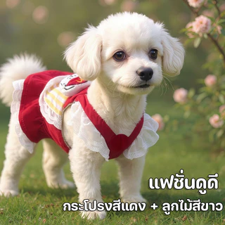 NEW เสื้อผ้าสัตว์เลี้ยง สายจูงสัตว์เลี้ยง กระโปรงสัตว์เลี้ยง แสดงบทบาทเป็นพนักงานเสิร์ฟ สายจูงหมา ตลก