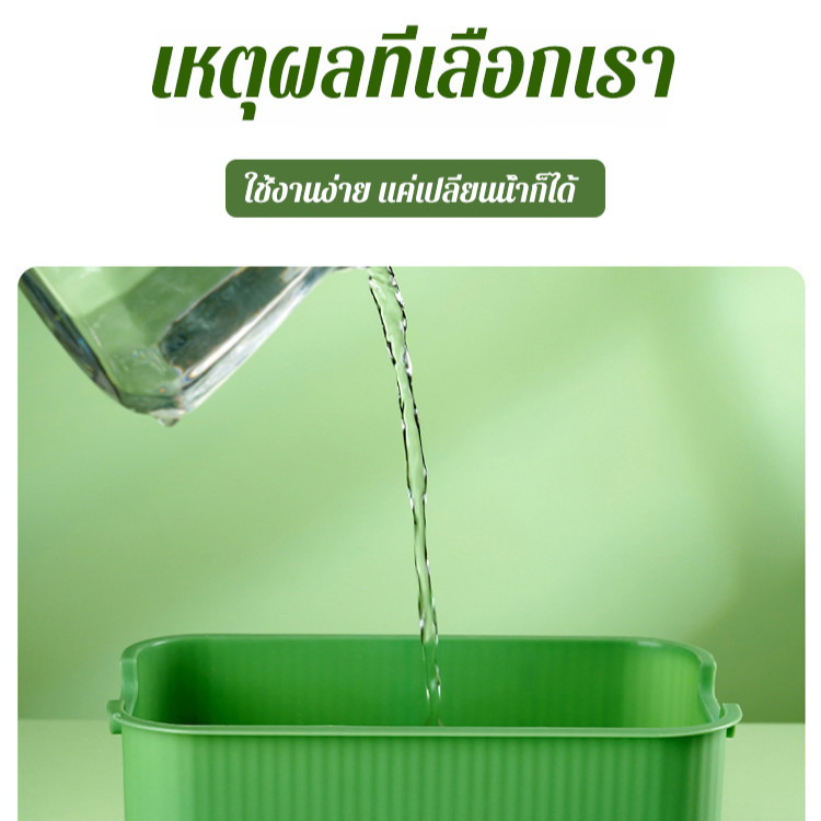 🚀เก็บผลผลิตได้ภายใน7วัน🌱กระถางเพาะถั่วงอกแบบไฮโดรโปนิกส์ ชุดปลูกต้นกล้าแบบไม่ใช้ดิน สำหรับบ้าน เหมาะสำหรับครัวเรือนมือใหม่ มีช่องระบายอากาศ360องศา ช่วยเร่งการงอกของเมล็ดพันธุ์ - รูปที่ 5