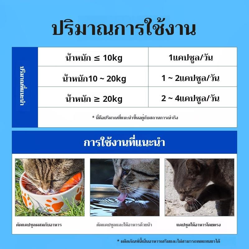 ปลาไขมันจากทะเลลึก สำหรับแมว/สุนัข | พร้อมส่งทันที 100 เม็ด | ป้องกันหักขน + ทำขนนุ่มสีสด   จุดประเทศไทย จัดส่งที่รวดเร็ว ราคา ถูกที่สุด ดีลบีเคเค แกลเลอรีภาพที่ 7