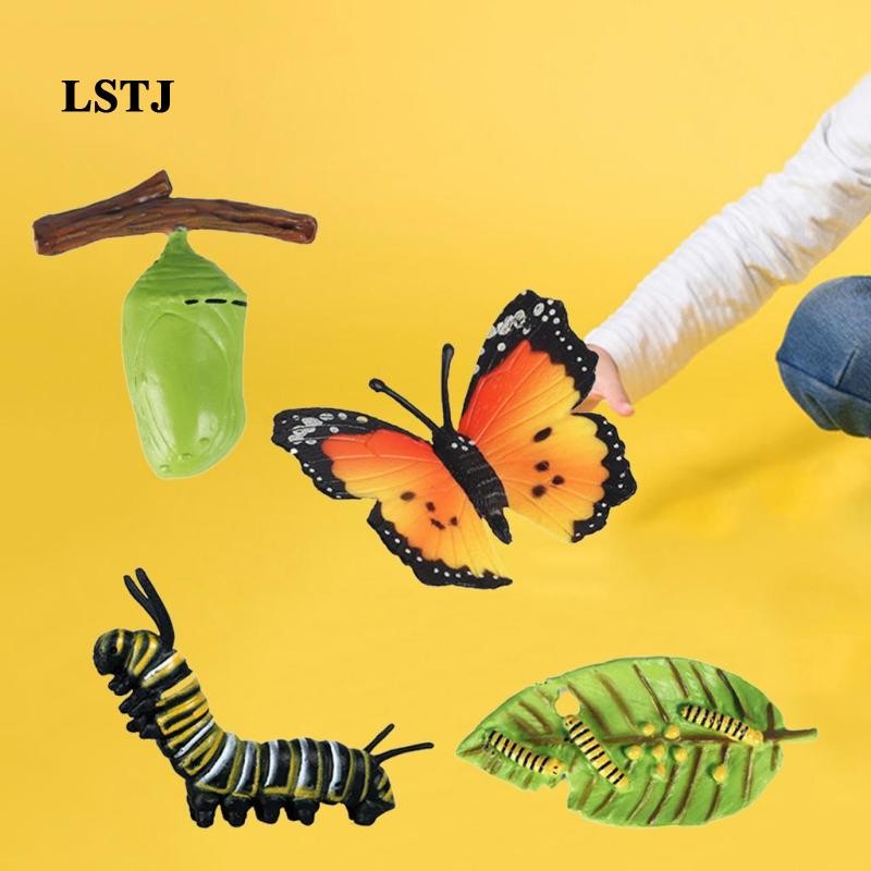 [Lstjj] Educational Kids Life Cycle Butterfly Growth Model Learning Toys