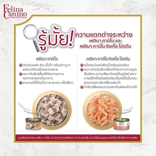 [12 กระป๋อง] Felina Canino เฟลินา คานิโน อาหารเปียกแมวแบบประป๋อง ทูน่าเนื้อขาวพรีเมียม