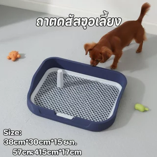 ถาดรองฉี่สุนัข ห้องน้ำสุนัข ถาดฉี่สัตว์เลี้ยง มีเสา ถอดล้างง่าย ฝึกขับถ่าย ใช้แผ่นรองฉี่