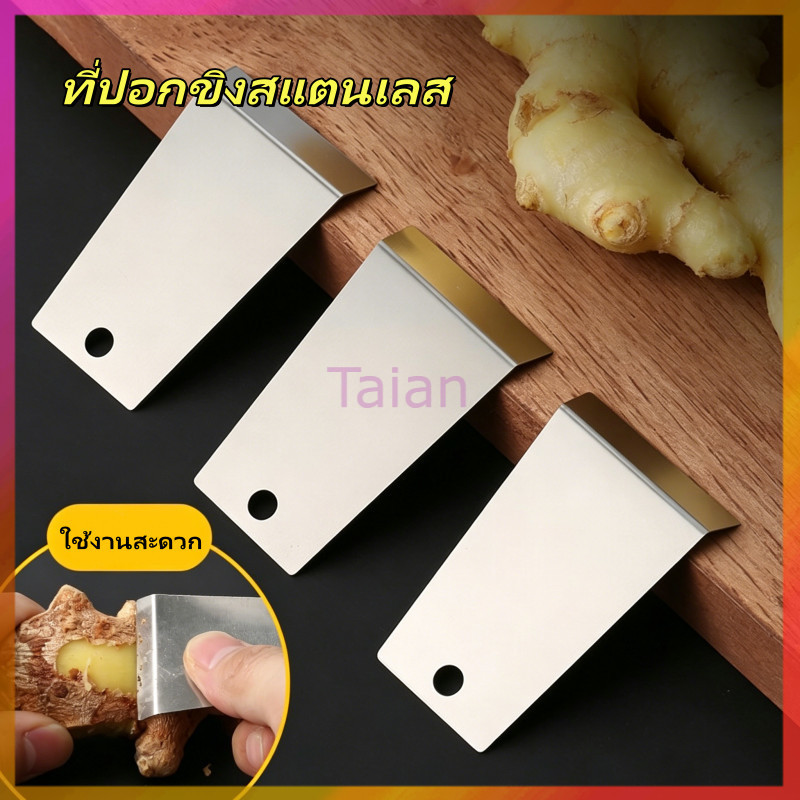 Taian ที่ปอกขิงสแตนเลส ที่ปอกกระเทียมในครัว มีดปลอกผลไม้ ที่ปอกเปลือกผลไม้ อุปกรณ์ในครัว ใช้งานสะดวก