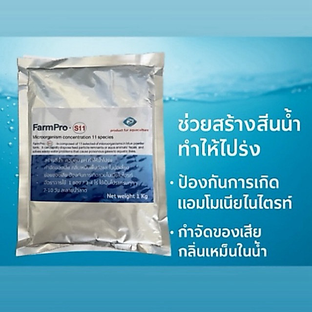 จุลินทรีย์ปรับสภาพน้ำ บาซิลลัสS11 ช่วยทำให้น้ำโปร่ง ปรับสภาพน้ำ